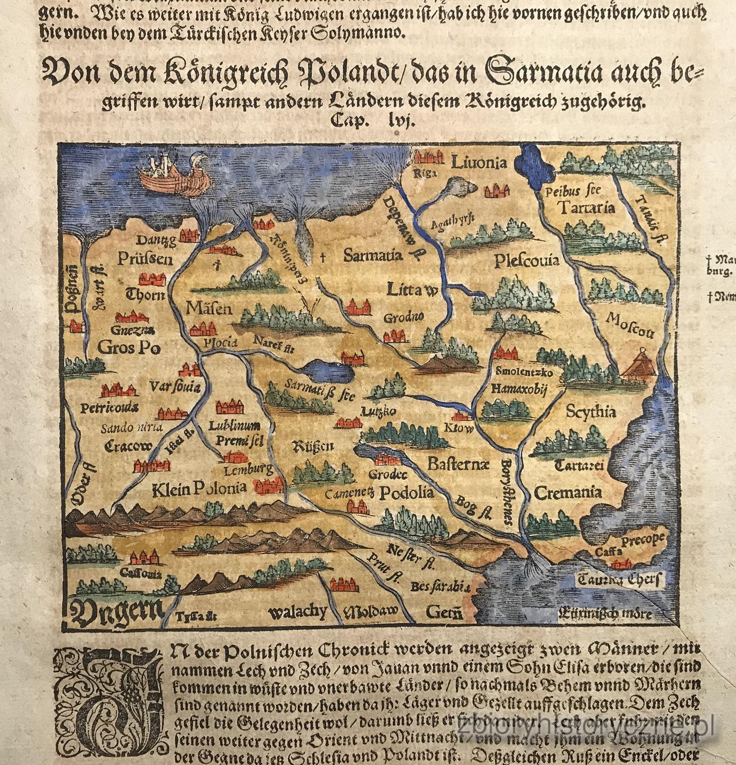 Kr&oacute;lestwo Polskie, M&uuml;nster, 1550 r. / 0