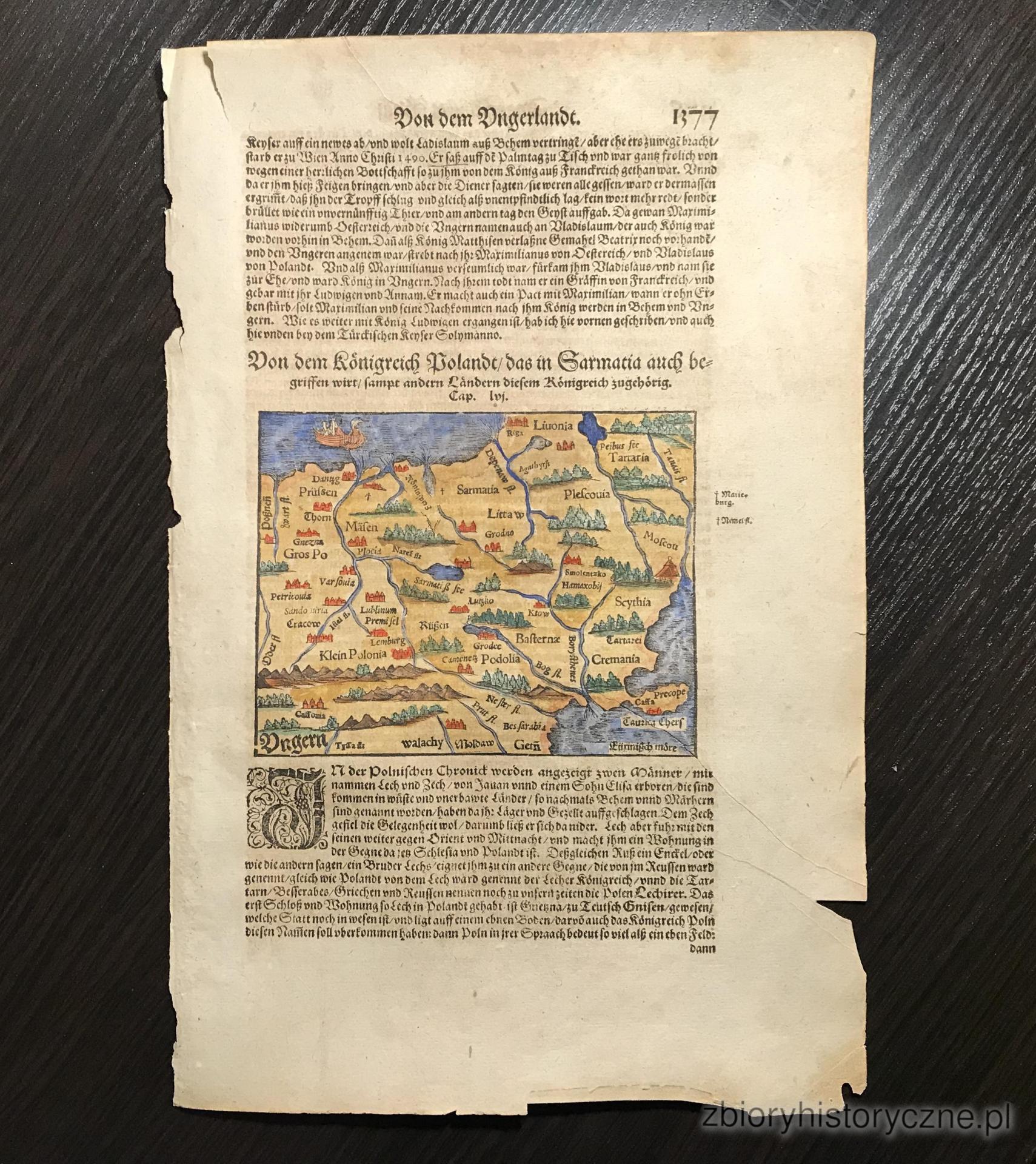 Kr&oacute;lestwo Polskie, M&uuml;nster, 1550 r. / 1